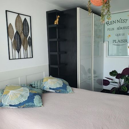 Appartement Cosy Entierement Equipe Тулуза Екстер'єр фото