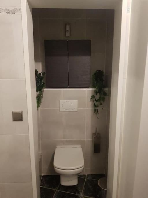 Appartement Cosy Entierement Equipe Тулуза Екстер'єр фото