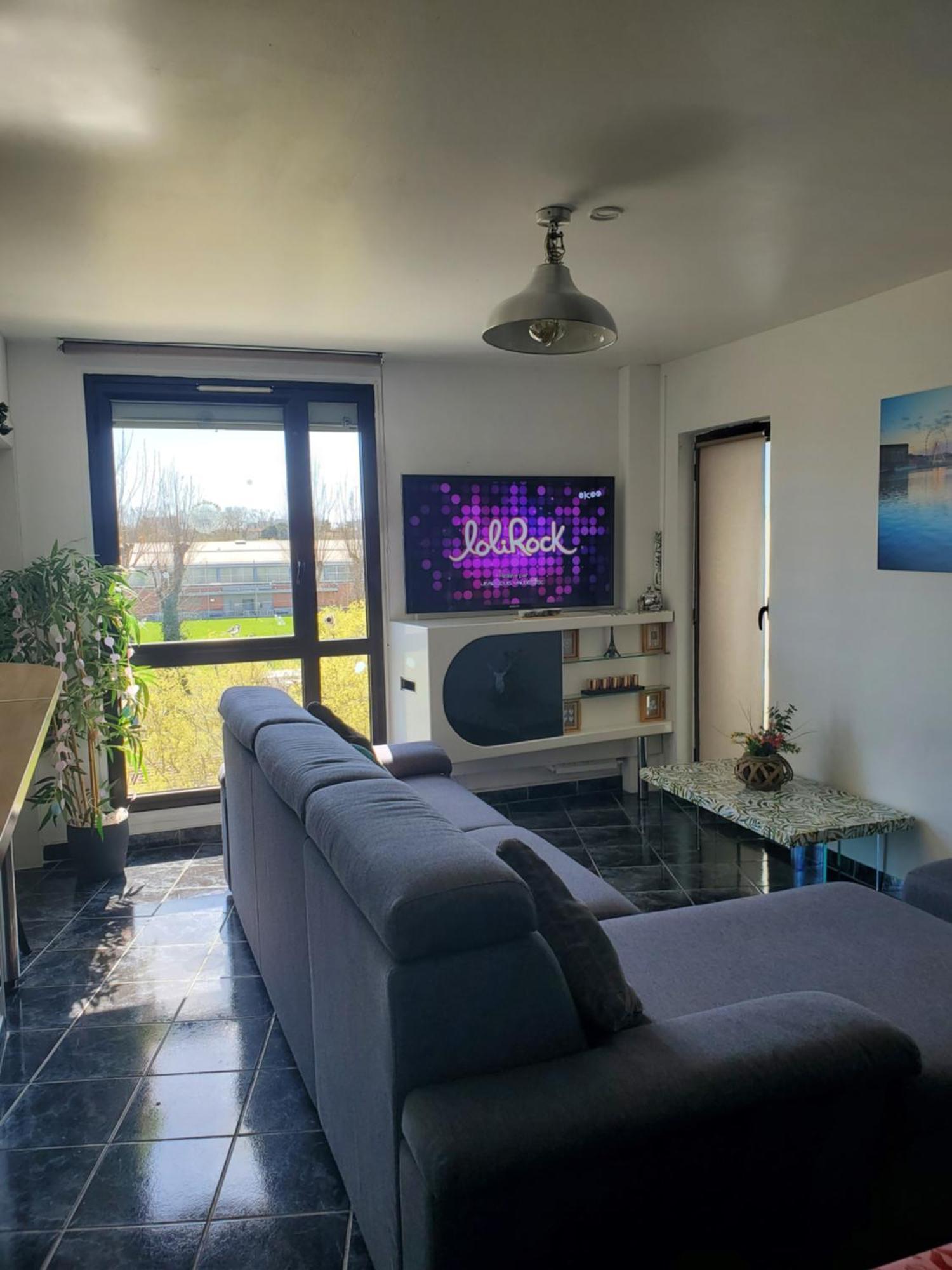 Appartement Cosy Entierement Equipe Тулуза Екстер'єр фото